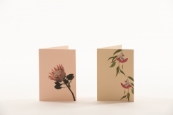 Cards x Kim O'Kane Artist