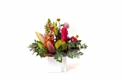 Florist's Choice Domed Box Arrangement